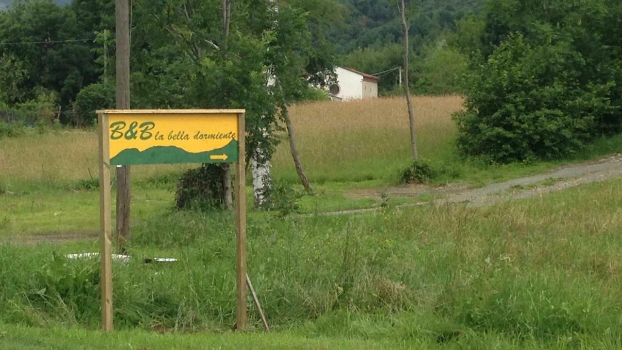 La Bella Dormiente B&B Castellamonte Eksteriør billede